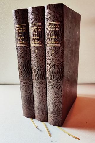 Danuser: Schriften in drei Bnden