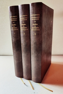 Danuser: Schriften in drei Bnden